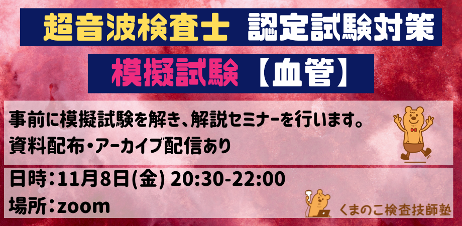 くまのこ検査技師塾 超音波検査士模擬試験 血管領域です。