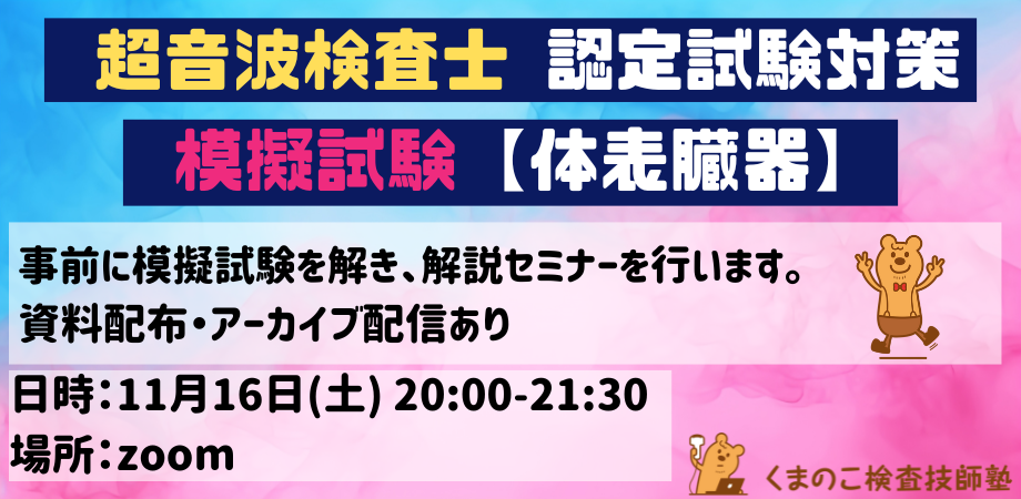 くまのこ検査技師塾 超音波検査士対策模擬試験体表領域です。