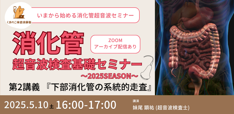 くまのこ検査技師塾 消化管エコーオンラインセミナーです。