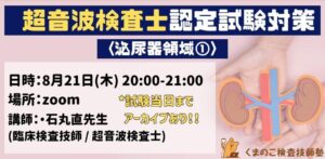 くまのこ検査技師塾 超音波検査士対策 泌尿器領域オンラインセミナーです。