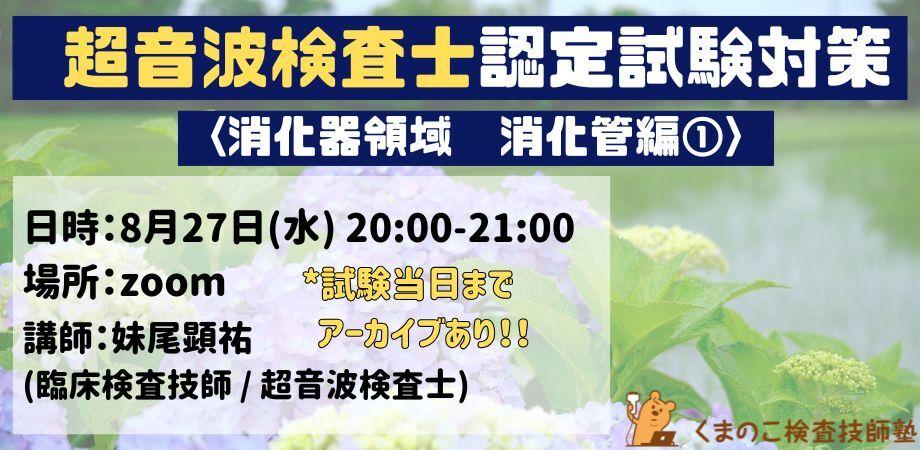 くまのこ検査技師塾 超音波検査士試験対策 消化器領域オンラインセミナーです。