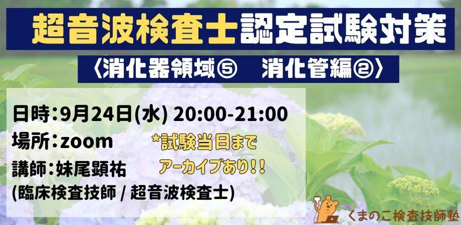 くまのこ検査技師塾 超音波検査士 消化器領域オンラインセミナーです。