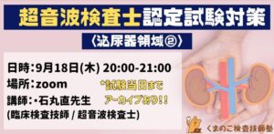 くまのこ検査技師塾 超音波検査士 泌尿器領域オンラインセミナーです。