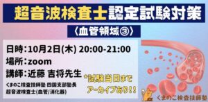 くまのこ検査技師塾 超音波検査士血管領域オンラインセミナーです。
