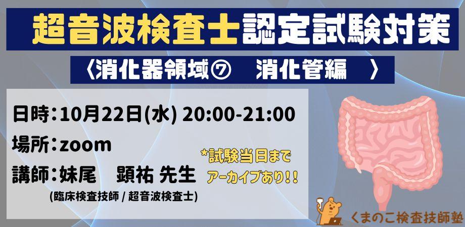 くまのこ検査技師塾 超音波検査士消化器領域オンラインセミナーです。