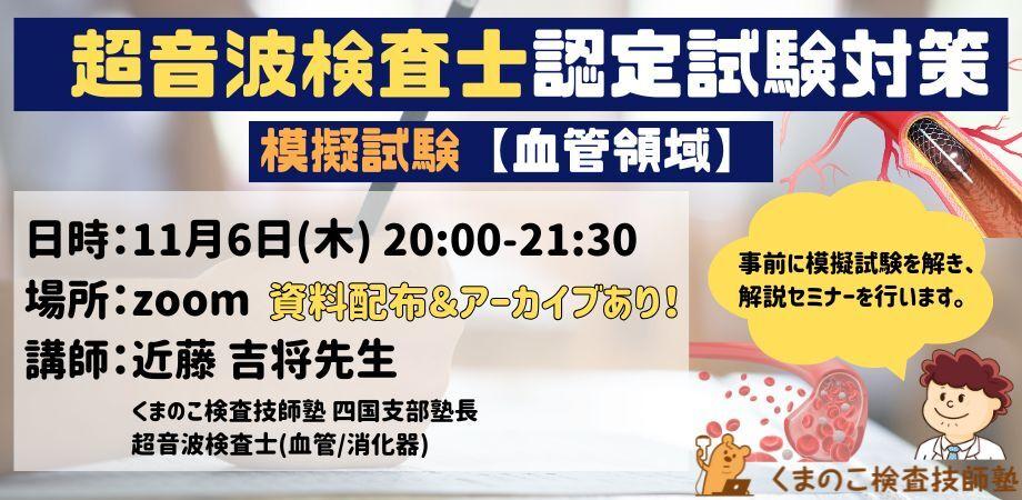 くまのこ検査技師塾 超音波検査士模擬セミナー 血管領域です。